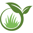 North Augusta Lawn Clean Up