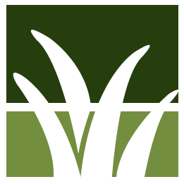 North Augusta Lawn Clean Up