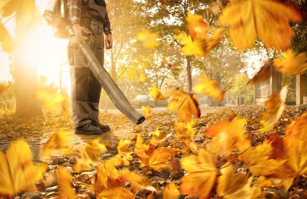 Leaf Blowing Service in North Augusta