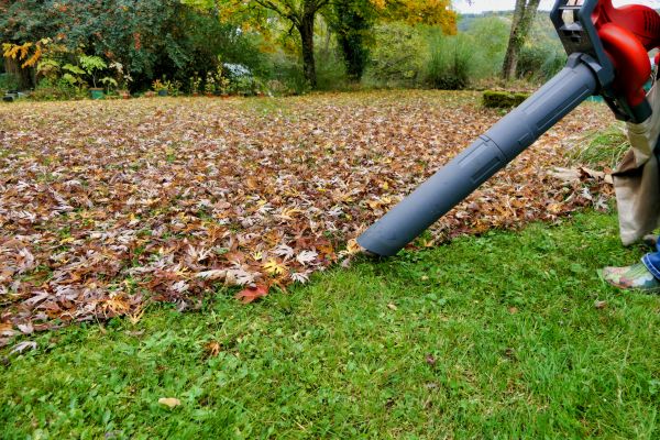 Leaf Vacuuming Service in North Augusta