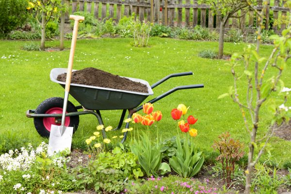 Spring Yard Cleanup in North Augusta