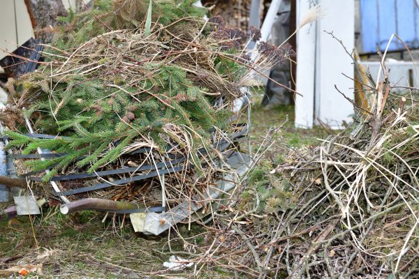 Yard Waste Removal Service in North Augusta