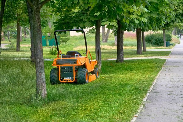 Landscaping Cleanup Service in North Augusta