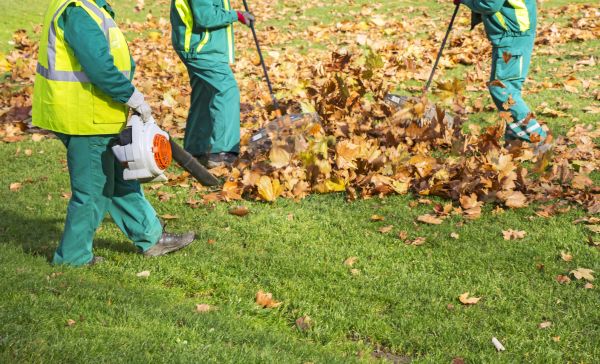 Leaf Maintenance in North Augusta