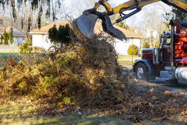 Storm Debris Removal in North Augusta