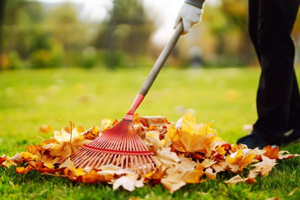 Ditch Leaf Removal in North Augusta