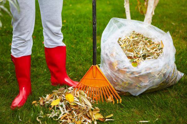 Leaf Disposal Service in North Augusta