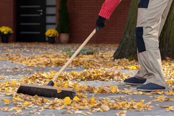 Leaf Sweeping Service