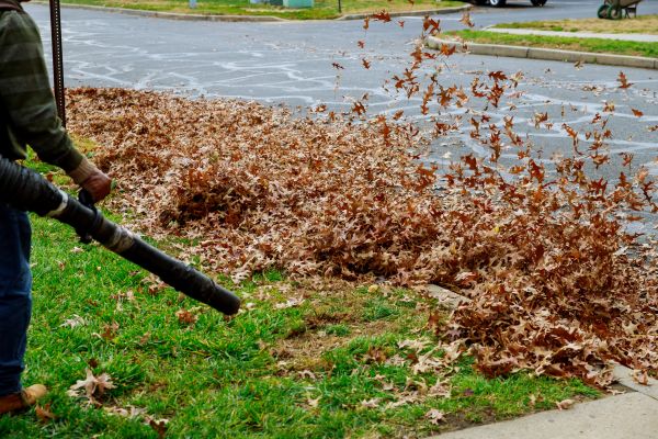 Garden Leaf Removal in North Augusta