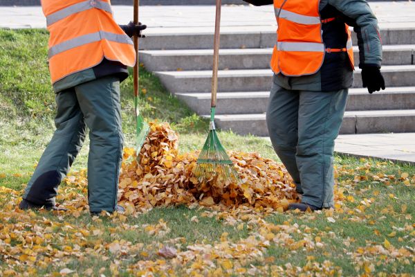 Leaf Hauling Service in North Augusta
