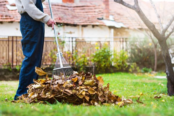 Spring Lawn Cleanup in North Augusta
