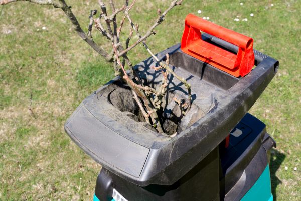 Brush Cleanup Service in North Augusta