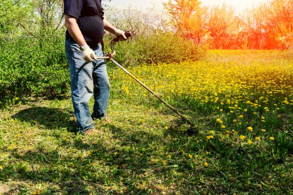 Yard Clearing Service in North Augusta