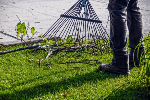 Yard Debris Cleanup in North Augusta