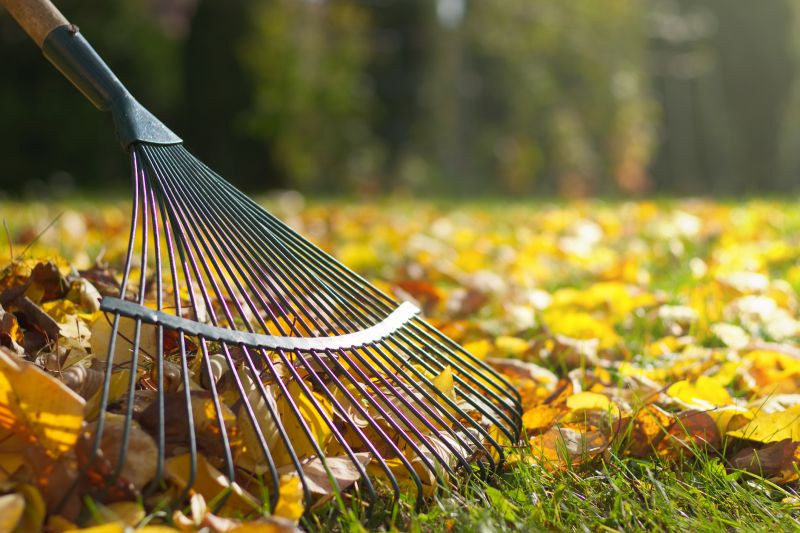 Fall Lawn Cleanup Tools