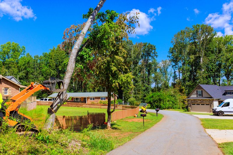 Limbs Removal detail