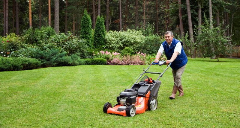 Mid-Season Lawn Maintenance