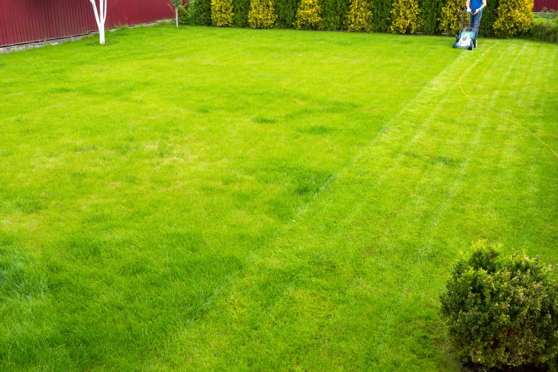 Seasonal Lawn Maintenance