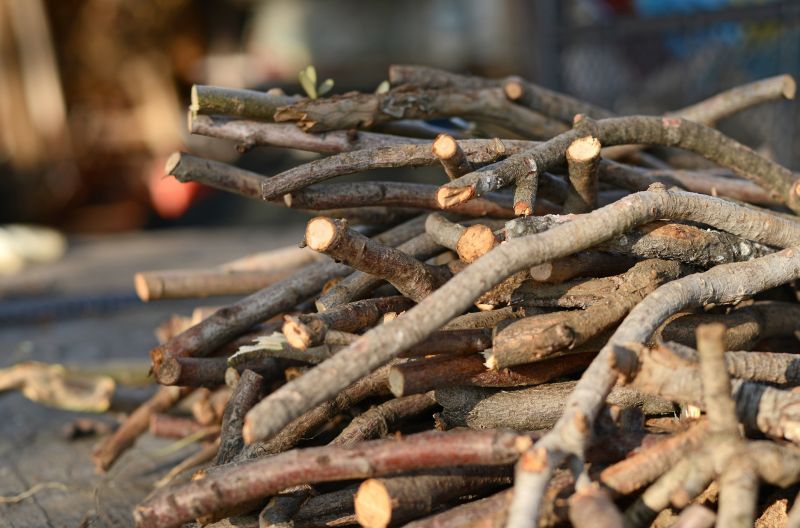 Tree Branches Removal
