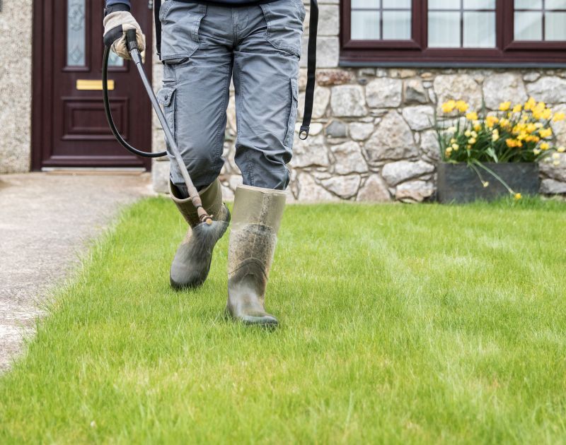 Professional Yard Care