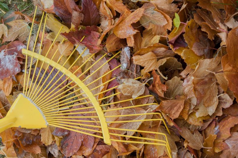 Yard Raking